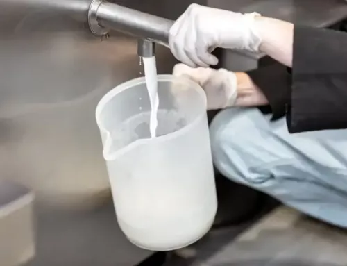 Proceso industrial de la leche pasteurizada: ventajas de nuestra maquinaria