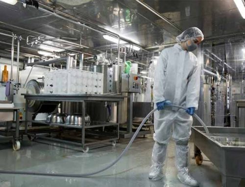 Food safety in industry; hygiene and training are two key elements in modern plants